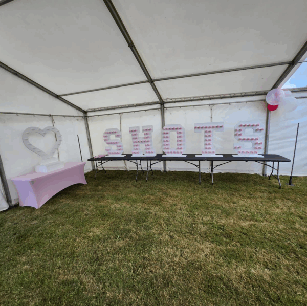 Shot Wall for Hire - Image 3